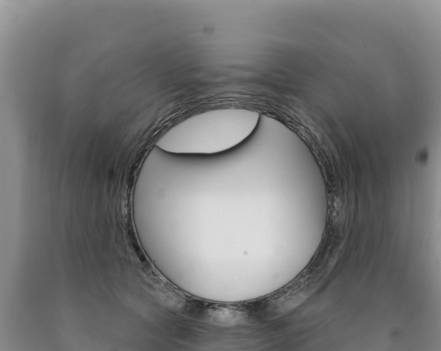 X0000090890561200707271041