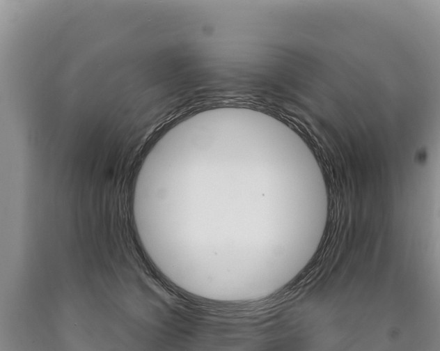X0000090890564200707271041