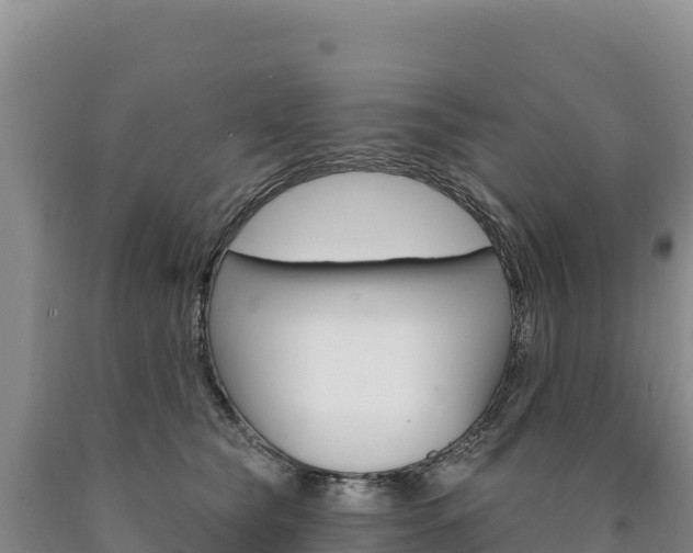 X0000090890565200707271041