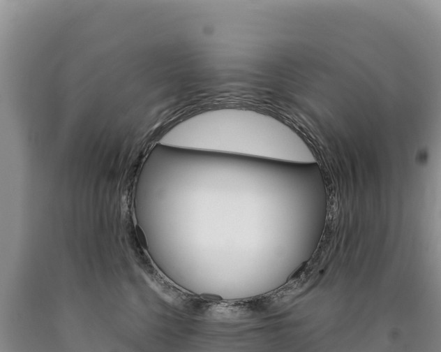 X0000090890568200707271041