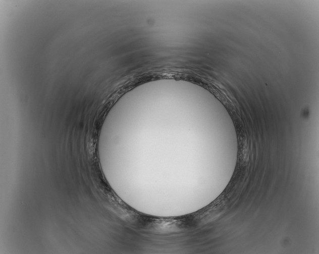X0000090890569200707271041
