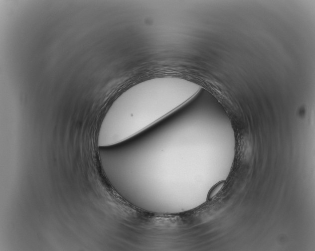 X0000090890571200707271041
