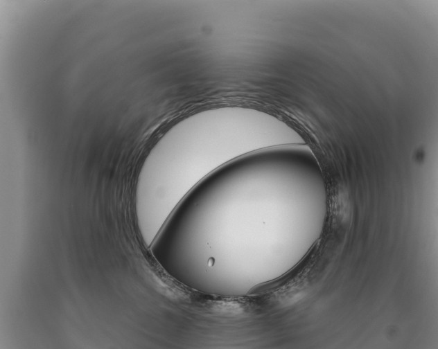 X0000090890572200707271041