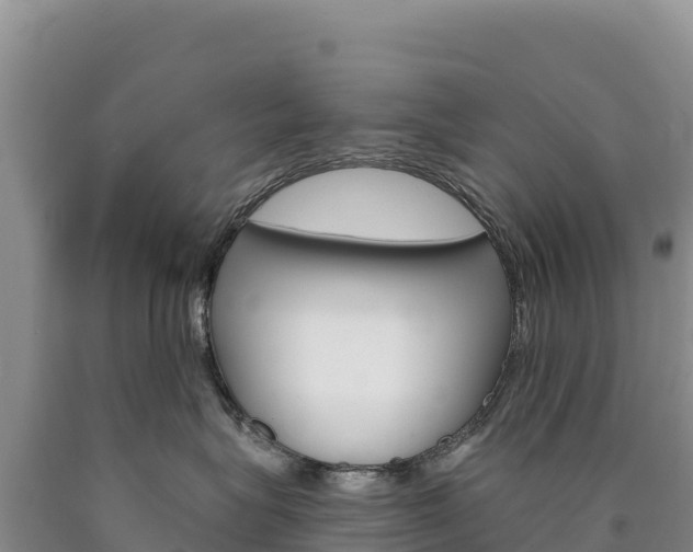 X0000090890575200707271041