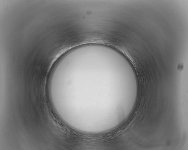 X0000090890579200707271040