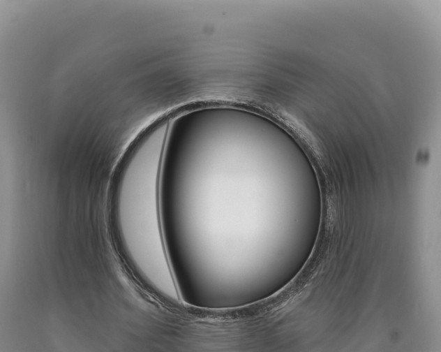 X0000090890580200707271040