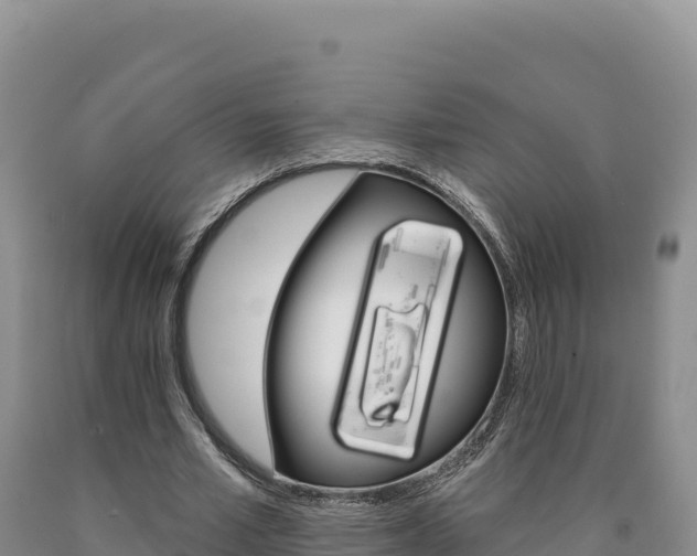 X0000090890581200707271040