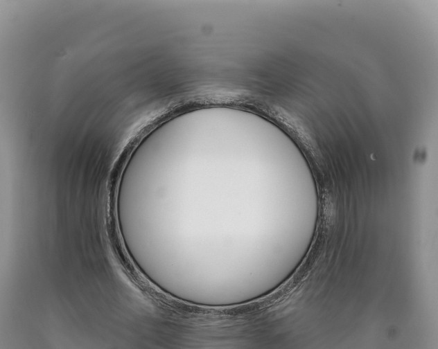 X0000090890582200707271040