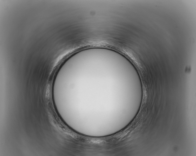 X0000090890583200707271040