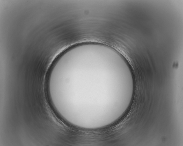 X0000090890584200707271040