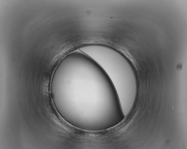 X0000090890585200707271040