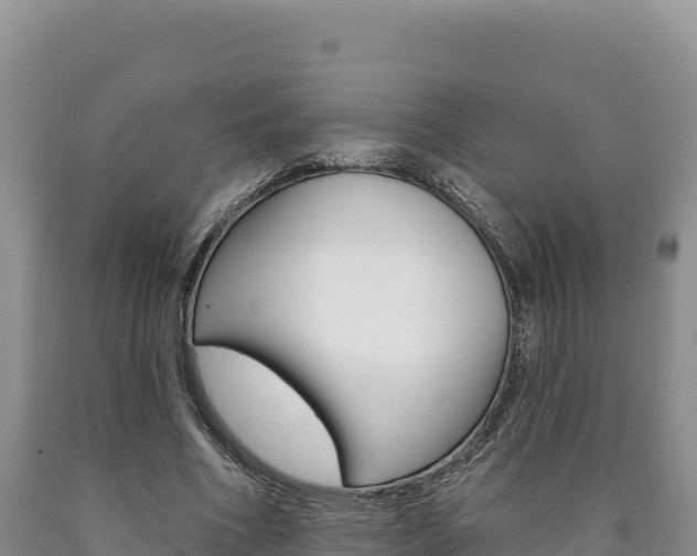 X0000090890586200707271040