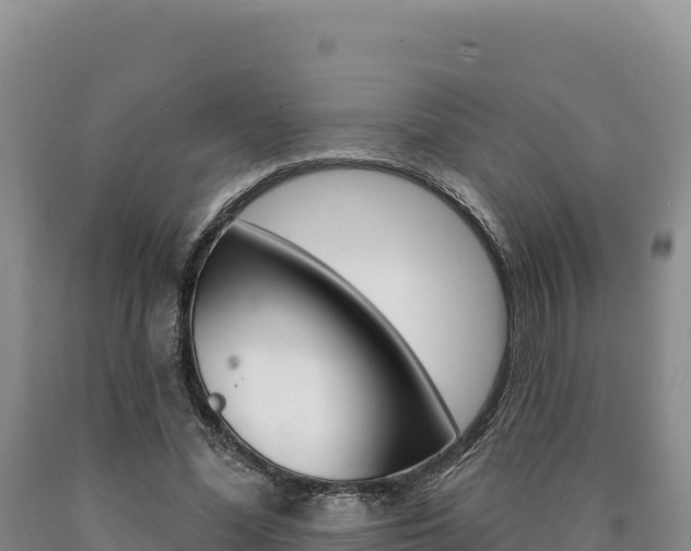 X0000090890588200707271040