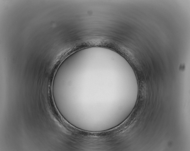 X0000090890590200707271040