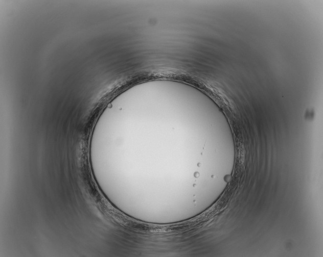 X0000090890591200707271040