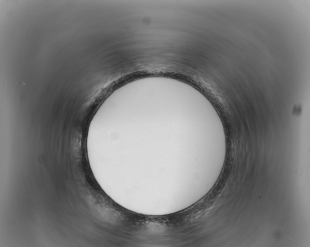 X0000090890592200707271040