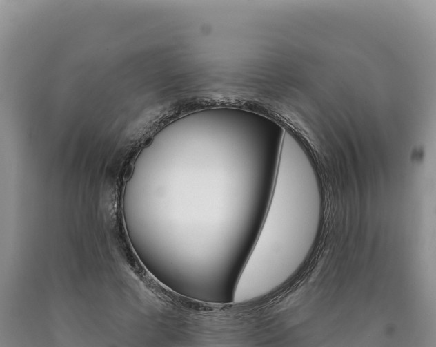 X0000090890593200707271040