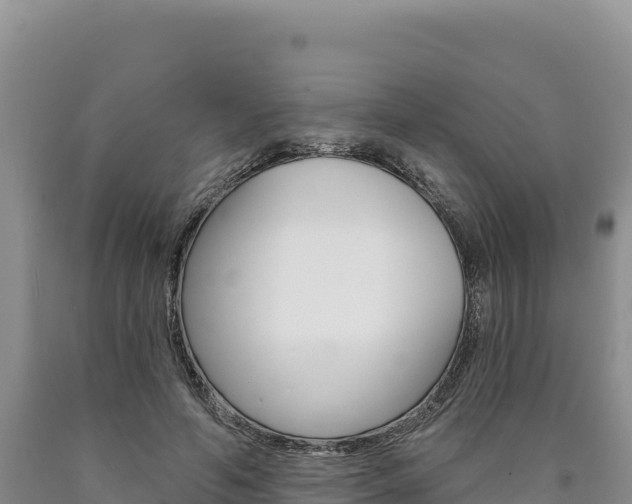 X0000090890594200707271040