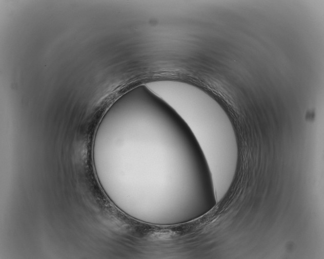 X0000090890595200707271040