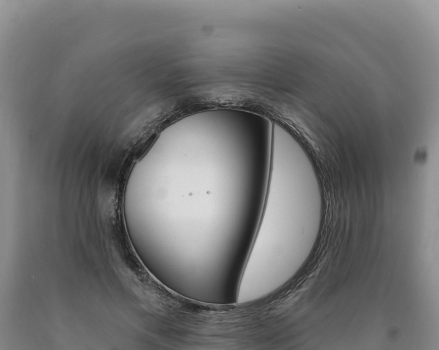 X0000090890597200707271040