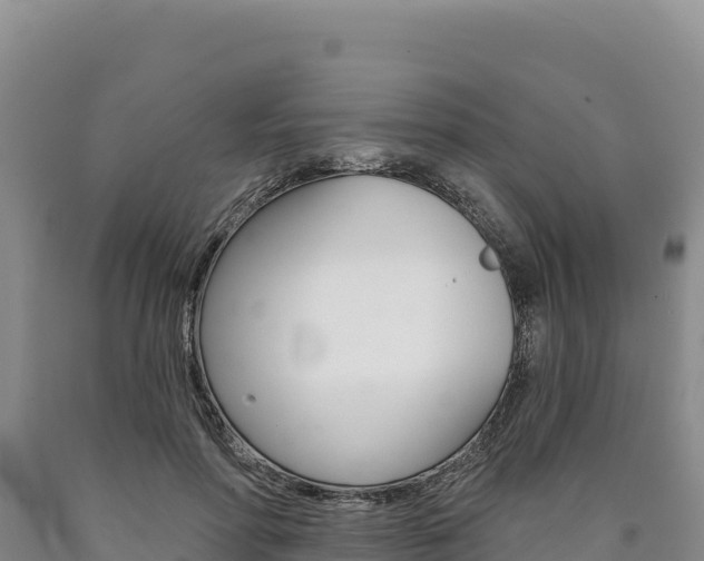 X0000090890598200707271040