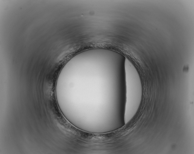 X0000090890599200707271040