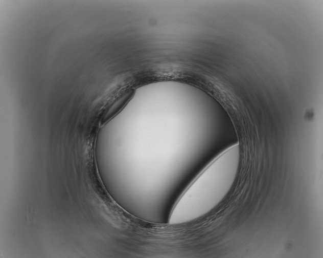 X0000090890601200707271040