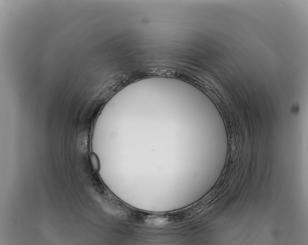 X0000090890602200707271040
