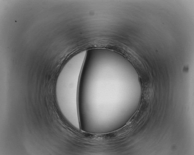 X0000090890604200707271040