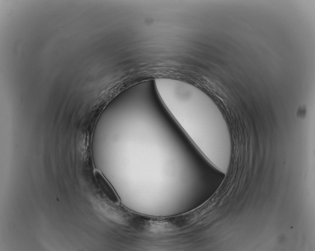 X0000090890605200707271040