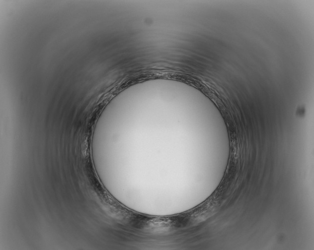 X0000090890606200707271040