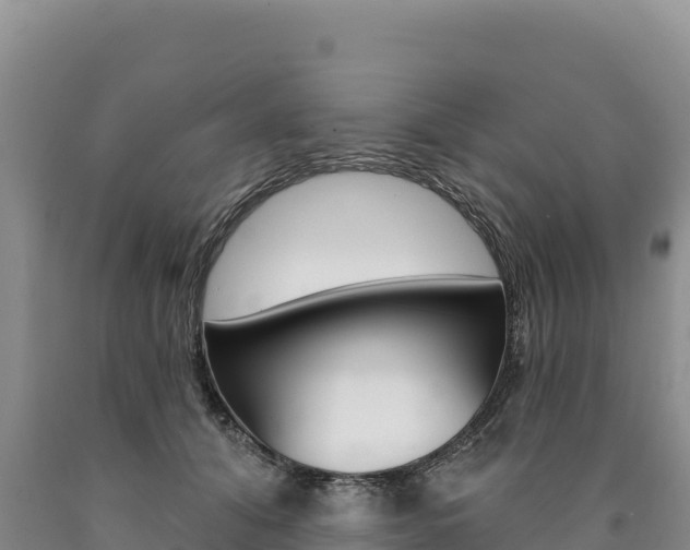 X0000090890608200707271040