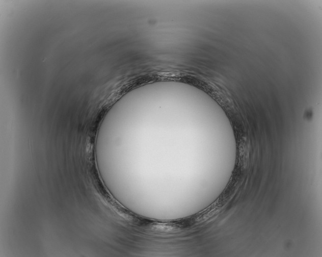 X0000090890614200707271040