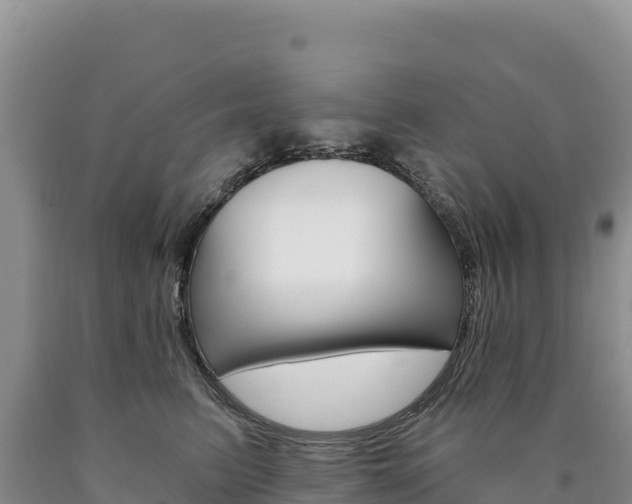 X0000090890615200707271040