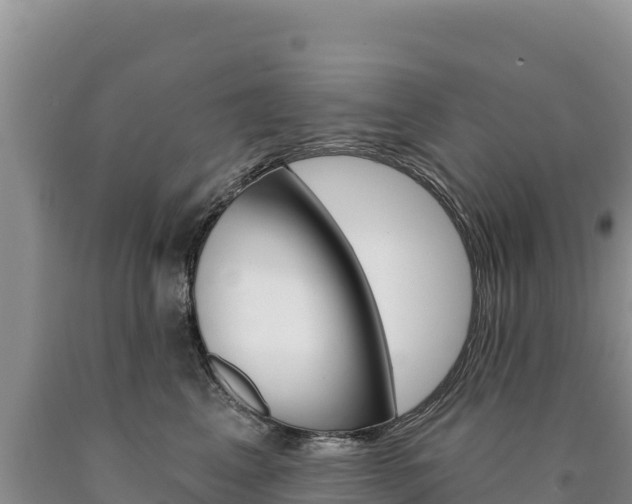 X0000090890617200707271040
