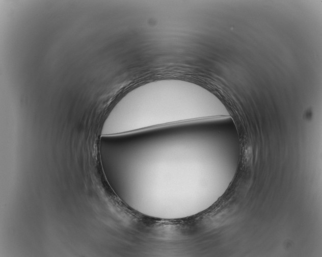 X0000090890620200707271040