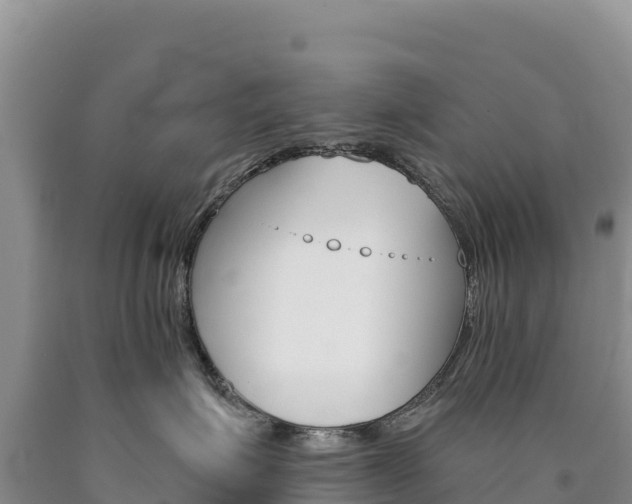 X0000090890623200707271040