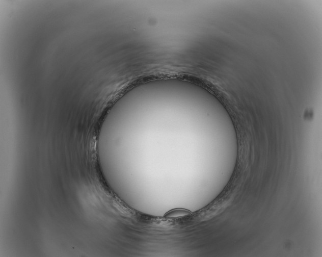 X0000090890624200707271040