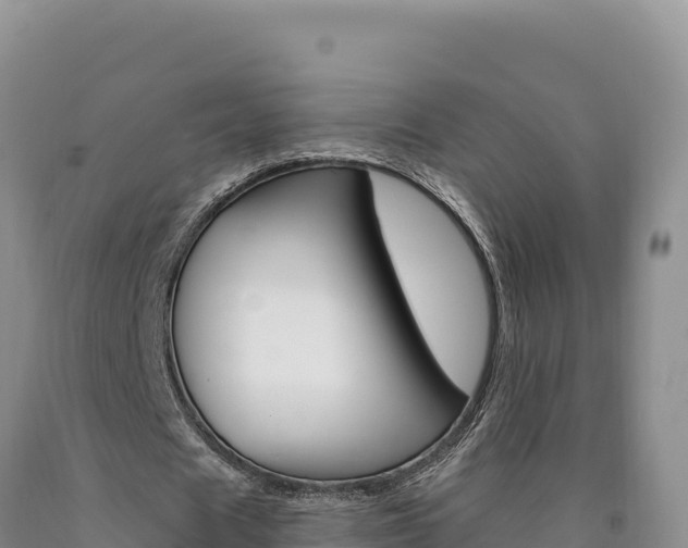 X0000090890625200707271039
