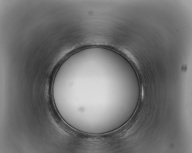 X0000090890627200707271039