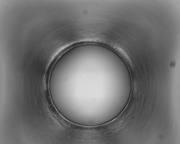 X0000090890628200707271039