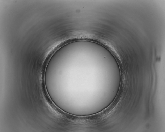 X0000090890629200707271039
