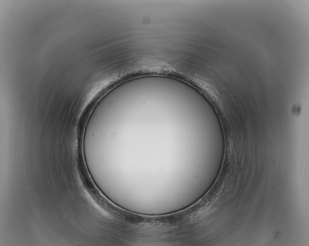 X0000090890630200707271039