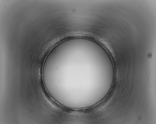 X0000090890633200707271039