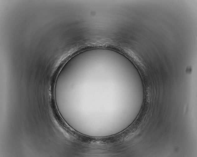 X0000090890634200707271039