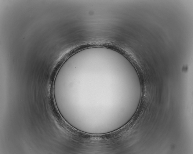 X0000090890636200707271039