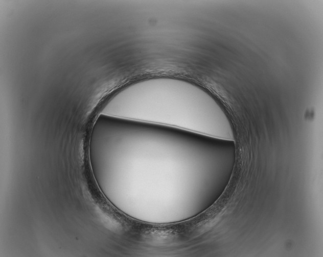 X0000090890638200707271039