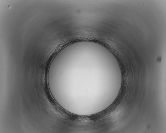 X0000090890642200707271039