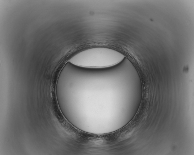 X0000090890643200707271039