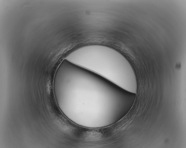 X0000090890644200707271039